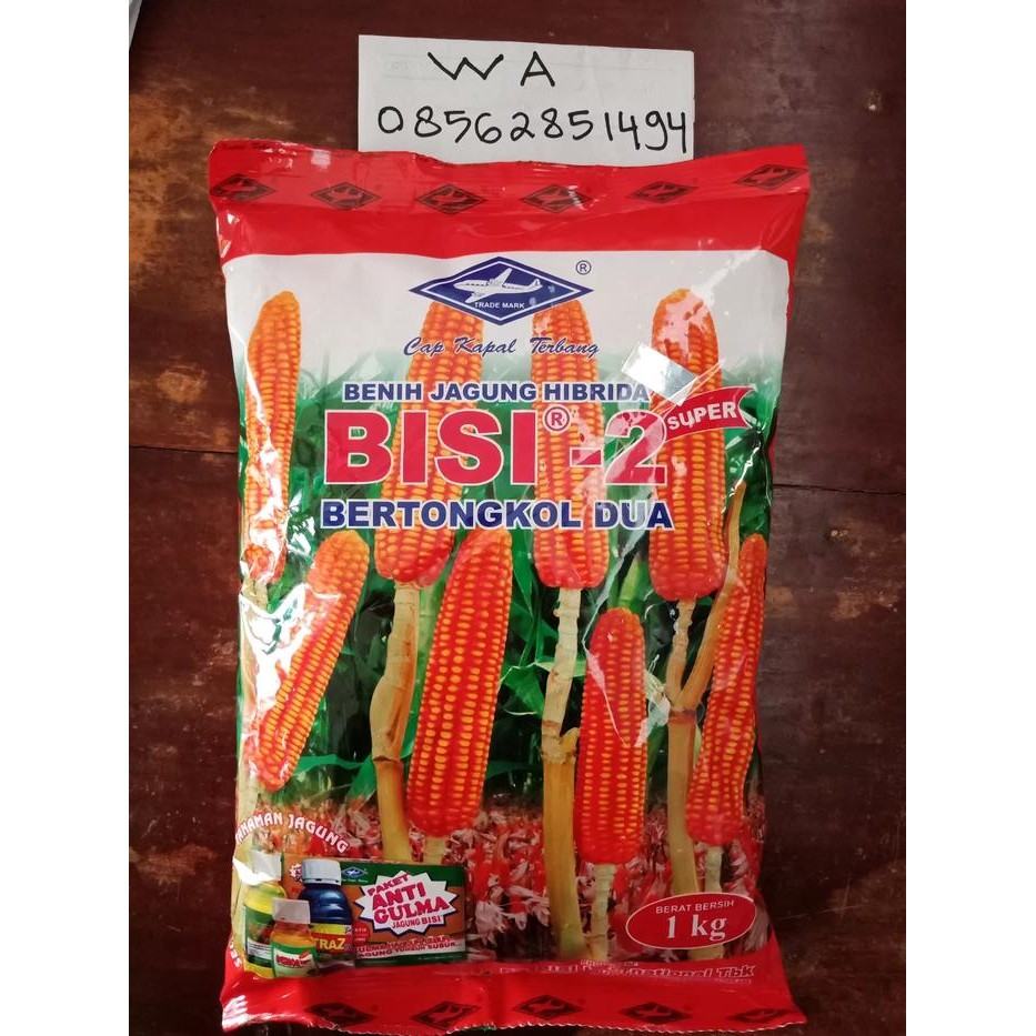 BENIH JAGUNG BISI 2 HIBRIDA CAP KAPAL TERBANG