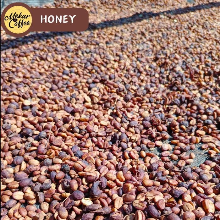 

KOPI PUNTANG HONEY 200 GRAM KOPI ARABIKA GN PUNTANG
