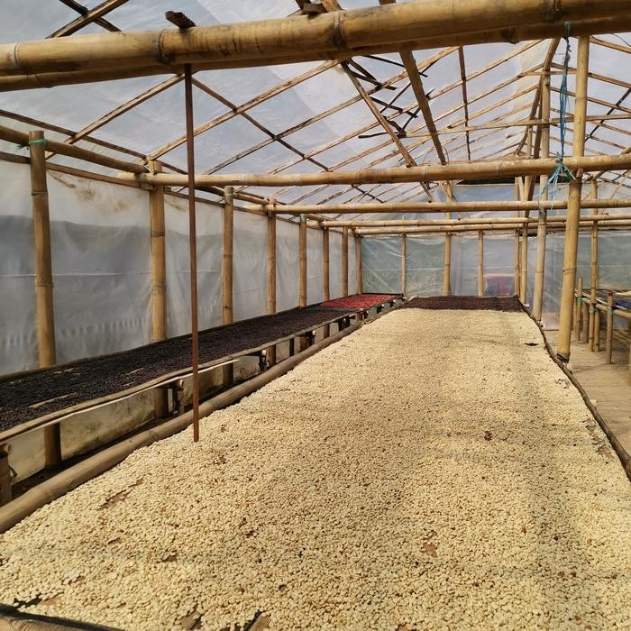 

KOPI TORAJA PULU PULU ARABICA