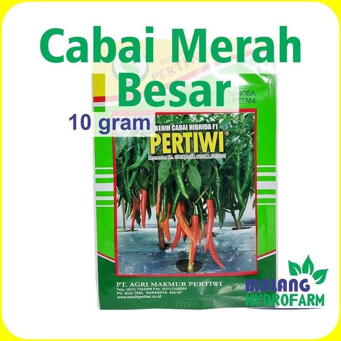 Terbaru Benih Cabai Merah Besar Pertiwi 10 gram Benih Pertiwi dataran menengah tinggi unggul bibit