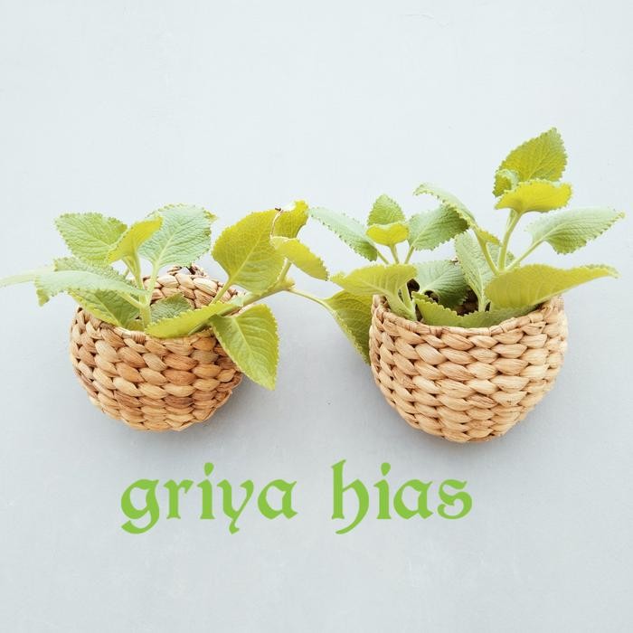 PREMIUM cover pot gantung mini anyaman eceng gondok