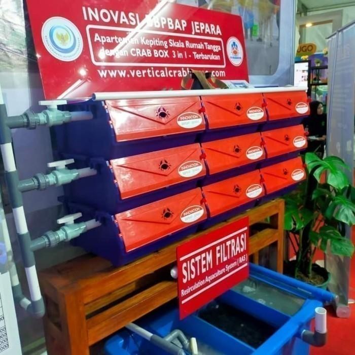 (Allthebest) Apartemen kepiting box crab Harga Murah