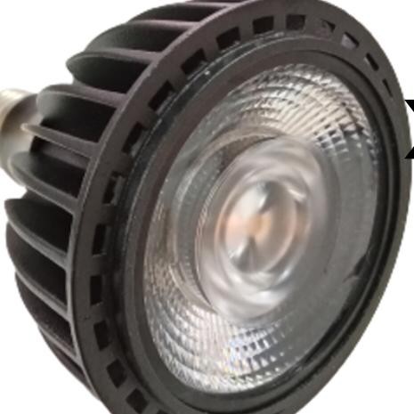 HILED SPOT LED PAR30 / LAMPU LED PAR30 15W 220V 3000K DIMMABLE