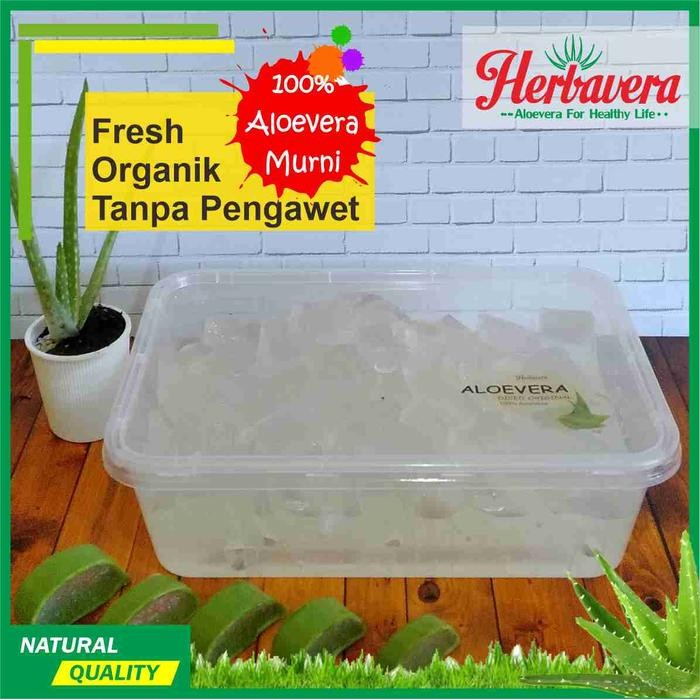 

Aloe Vera Kupas / Aloevera Kupas / Lidah Buaya Kupas 500 Gram