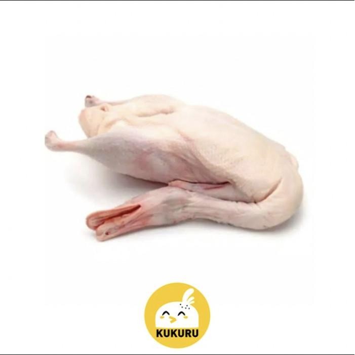 

(Expert) BEBEK HIBRIDA UTUH / HYBRID DUCK (PERSILANGAN BEBEK LOKAL DAN PEKING)