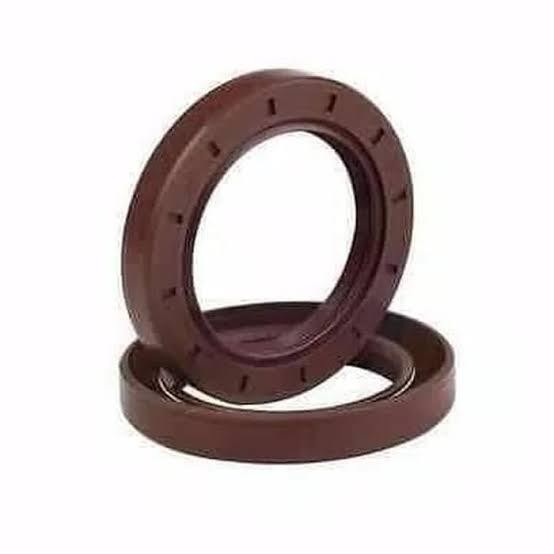 Terhemat Oil Seal Tc 110*140*12 Vit F / Tc 110 140 12 / Tc 110X140X12 Tc Fkm