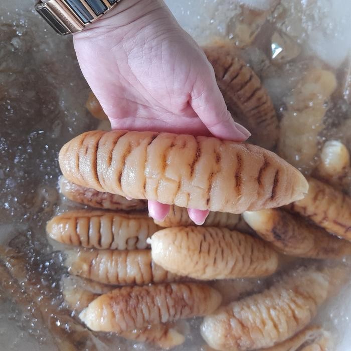 

teripang / haisom grade A uk.160-200 gram per ekor