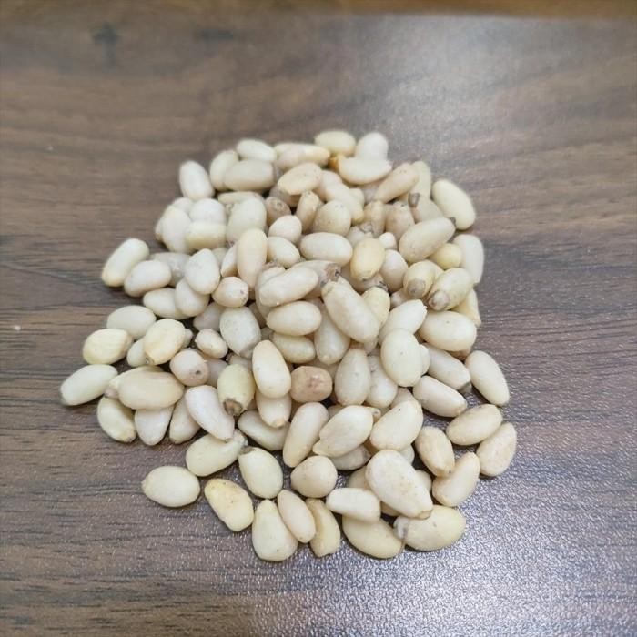 

(Expert) Pine Nut 100g - Kacang Pinus / Siberia Kernel ( Mentah )