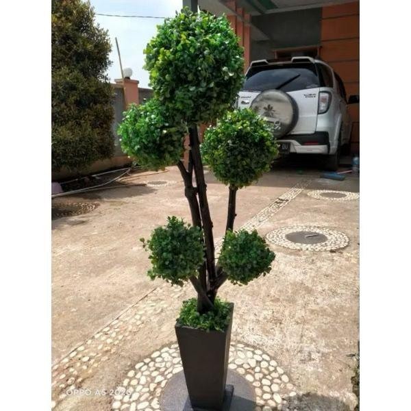 bonsai bulat100cm/bunga hias/sudut ruangan/bonsai bulat/bunga dolar