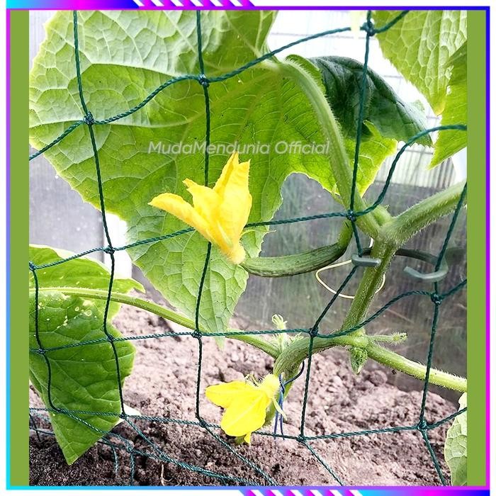 JARING TANAMAN RAMBAT PERMETER MURAH