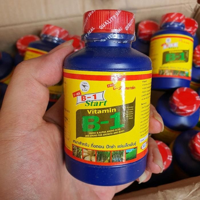 Vitamin B-1 Thailand T-Rex ORIGINAL