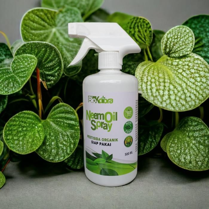Pestisida Organik Pembasmi Semut Pestisida Nabati Nimba Tanaman Hias