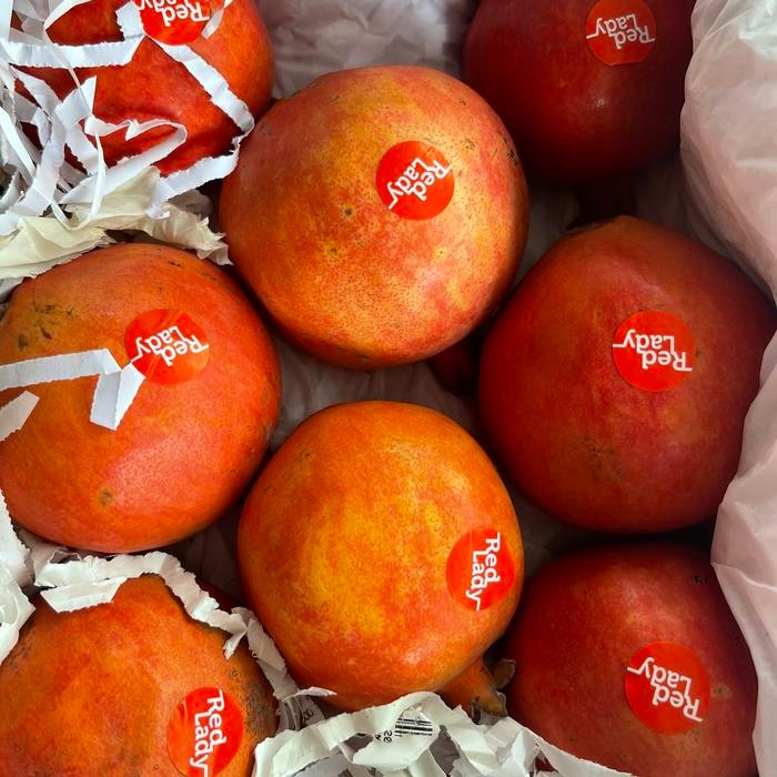 

Glx Buah delima import delima impor pomegranate -1kg