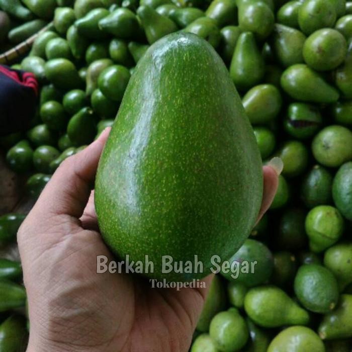 

Glx ALPUKAT MENTEGA super quality (1Kg)
