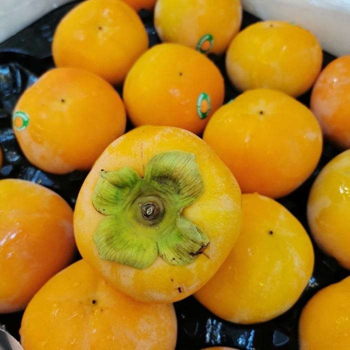 

Glx buah kesemek import persimon persimons manis garing korea australia