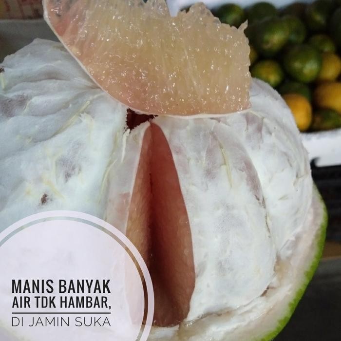 

Glx buah jeruk bali