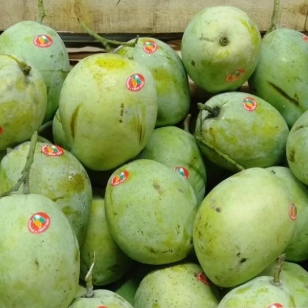 

Glx mangga indramayu 1kg