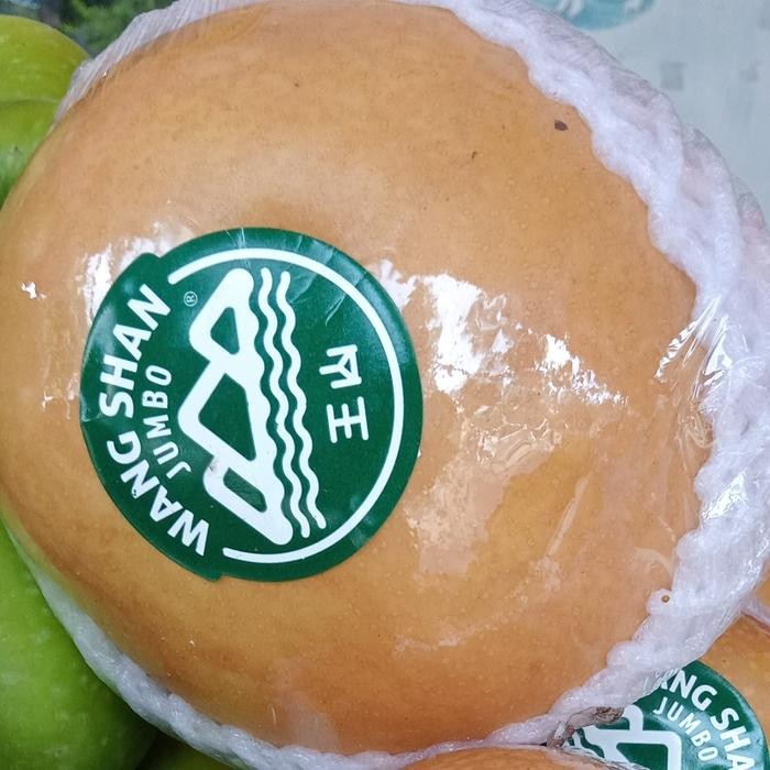 

Glx buah pear Korea premium organik 1 kg