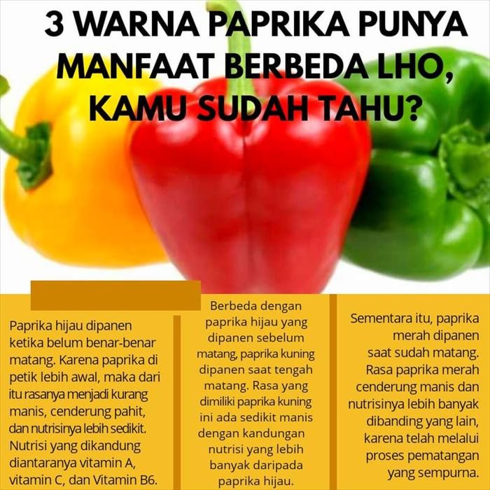 

FyZ Paprika Bubuk / Capsicum Powder/ Bell Pepper Powder 500GR Import HALAL
