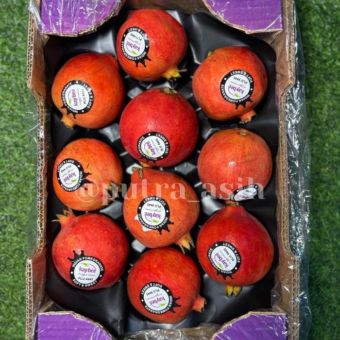 

Glx Red Pomegranate / Delima