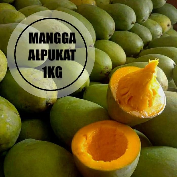 

Glx mangga alpukat masak pohon