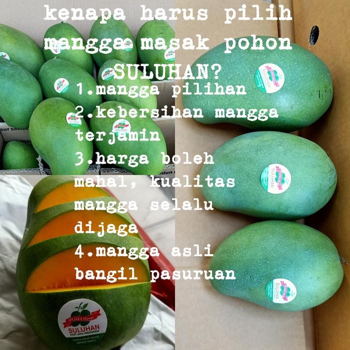 

Glx Mangga Alpukat harum manis SULUHAN 6kg