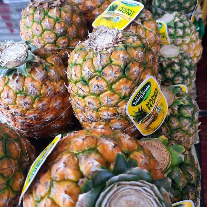 

Glx Nanas Madu Sunpride Manis Jumbo 1 buah