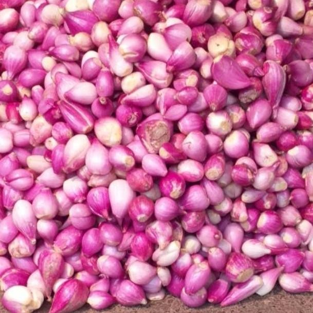 

Glx bawang merah kupas 500 gr