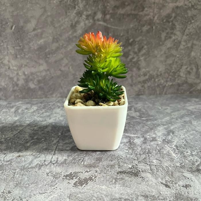 (COD) KAKTUS HIAS SUKULEN MINI ARTIFICIAL BUNGA KAKTUS PLASTIK