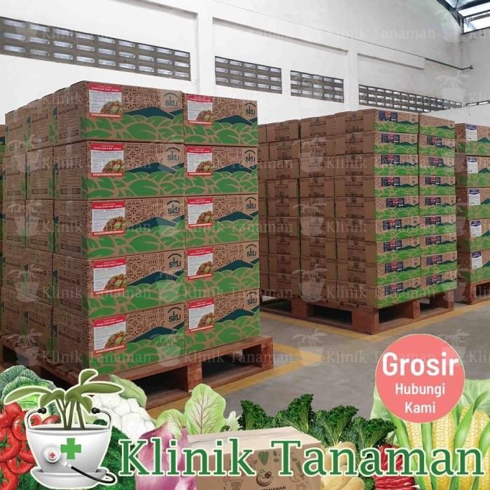 (-) Benih Sawi Putih Belona Chinese Cabbage F1 10Gr (8.000 Biji) Bibit Sawi Putih Belona Benih Sawi