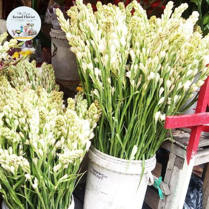 bunga sedap malam asli segar pertangkai *