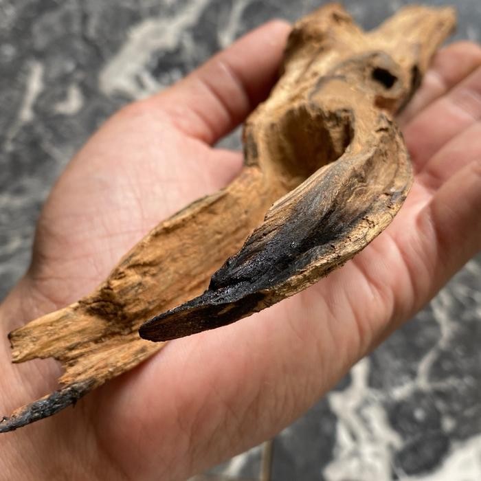 

[Fresh] Kayu Gaharu Alam harum semerbak cocok untuk keperluan ibadah buhur dupa dll amer aud