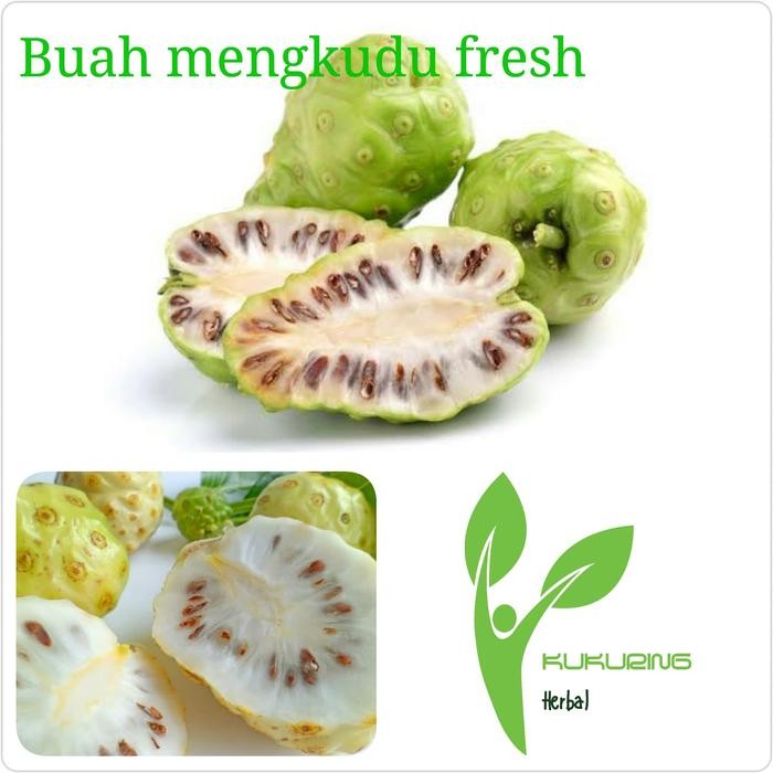 

[Fresh] Paket 10 kg buah mengkudu fresh