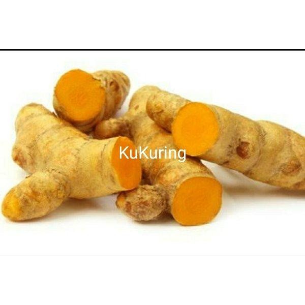 

[Fresh] Kunyit Fresh Segar 500 Gram Koneng