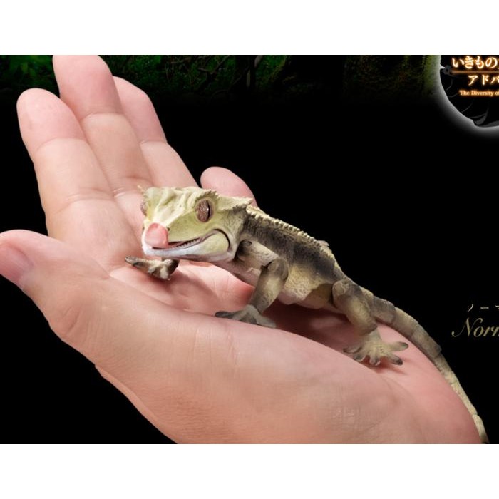 Crested gecko figure ikimono bandai premium gashapon - Dalmatian
