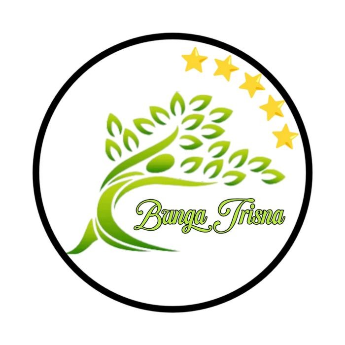 TANAMAN HIAS BOUGENVILLE / BUNGA KERTAS / BUNGA BOUGENVILLE MERAH