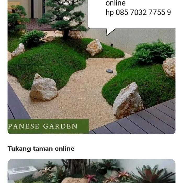 PAKET HEMAT CABAI RAWIT DAPET 2PCS / TANAMAN BIBIT CABE RAWIT SIAP TANAM