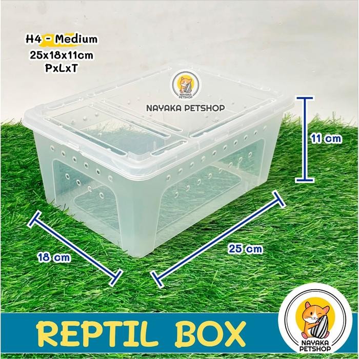 Reptil Box H3 Small H4 Large Kandang Kura Kura Brazil Sarang Hewan Wadah Amfibi Kodok Katak Gecko