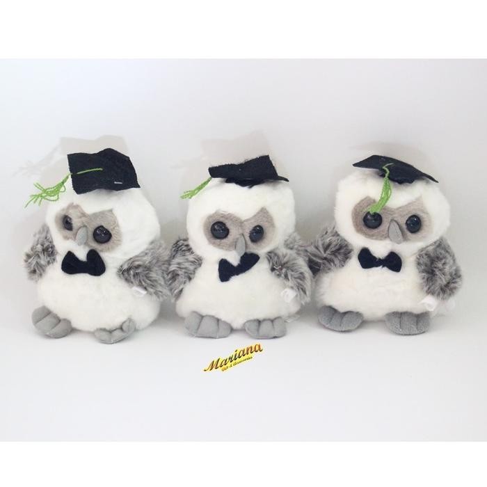 Boneka Wisuda Burung Hantu Owl Wisuda