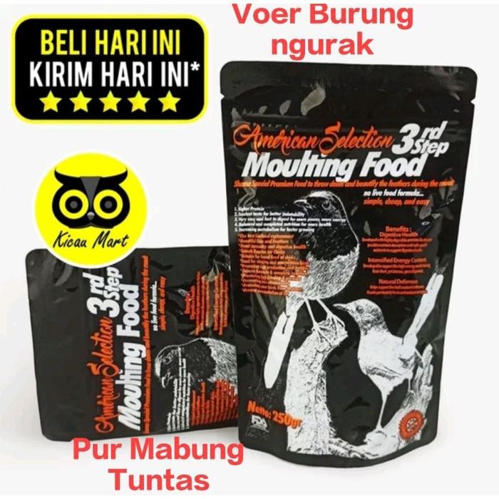 AMS moulting food pur raja ngurak voer perontok bulu mabung tuntas