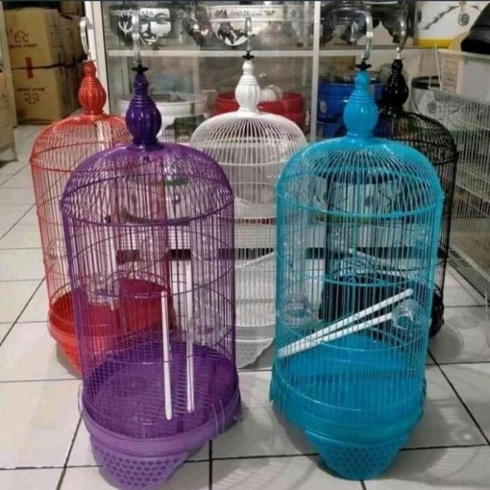 kandang burung lovebird