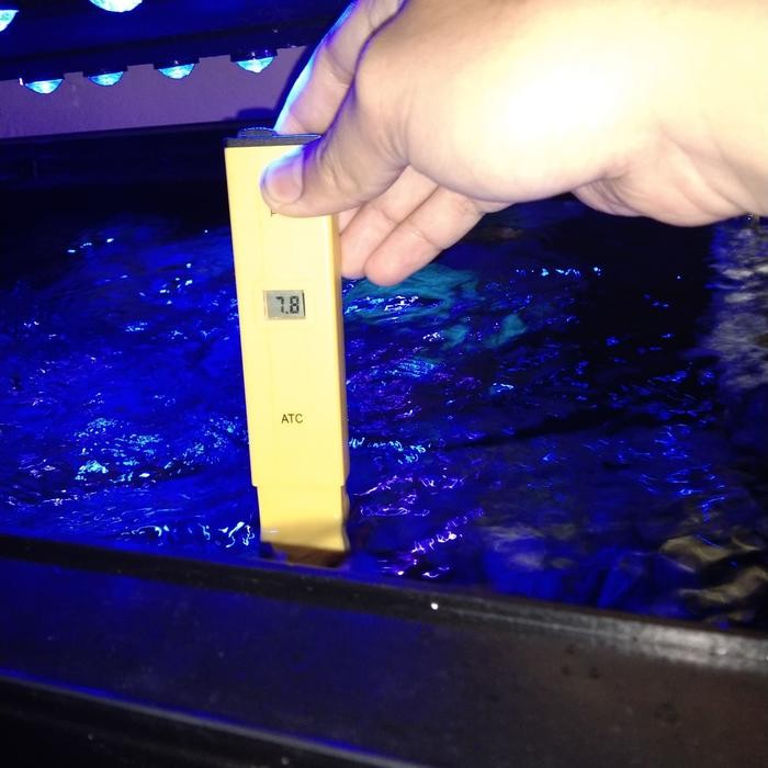 Alat Ukur Ph / Tester Ph Air Untuk Aquarium Laut