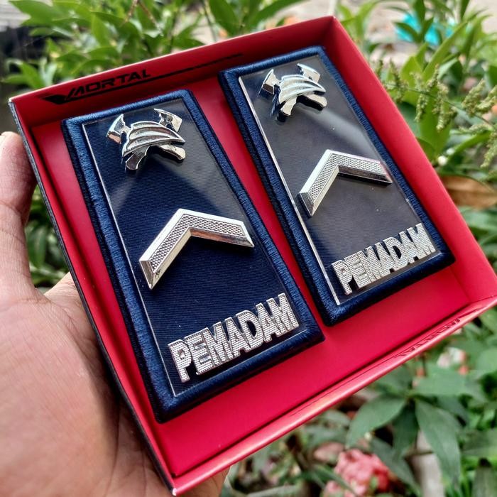 Town Pangkat Pemadam Damkar Golongan 2A Mika Bening