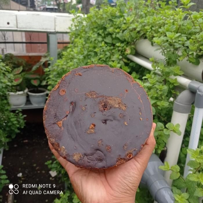 

ASLI Gula Aren Sipirok Murni Organik (Asli Aren Bukan Kelapa) READY STOCK