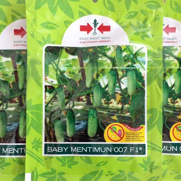 benih timun baby (kecil) baby mentimun 007 f1 700 butir yorpgo 8698gr