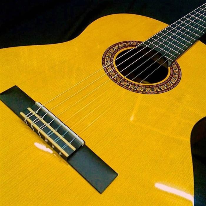 Gitar Guitar Yamaha Akustik C315/C -315 + Tas Soft Case+Pick O