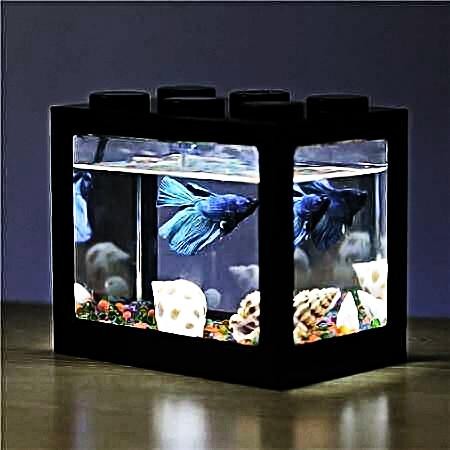 Akuarium Mini Akrilik Aquarium Ikan Cupang Lampu USB LED