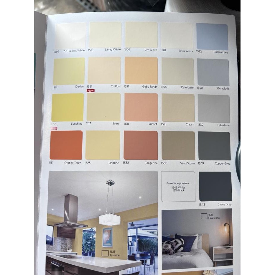 CAT TEMBOK NIPPON PAINT QLUC Q-LUC Q LUC 18 KG ( GOSEND ONLY )