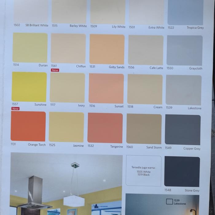 Cat Tembok Q-Luc / Qluc 1 Pail (20kg)