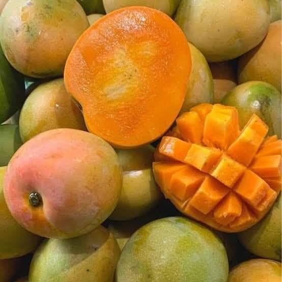 

buah mangga gedong gincu